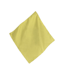 Pale Green Solid Silk Pocket Square